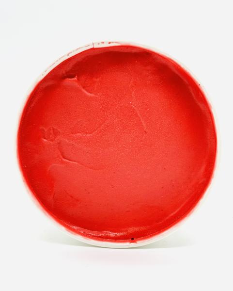 frambozen sorbet